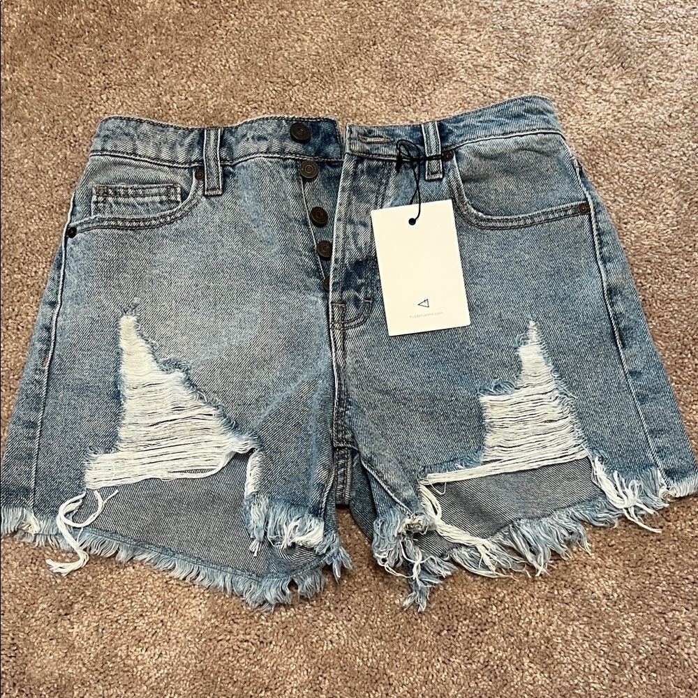 HIDDEN Distressed Denim Shorts